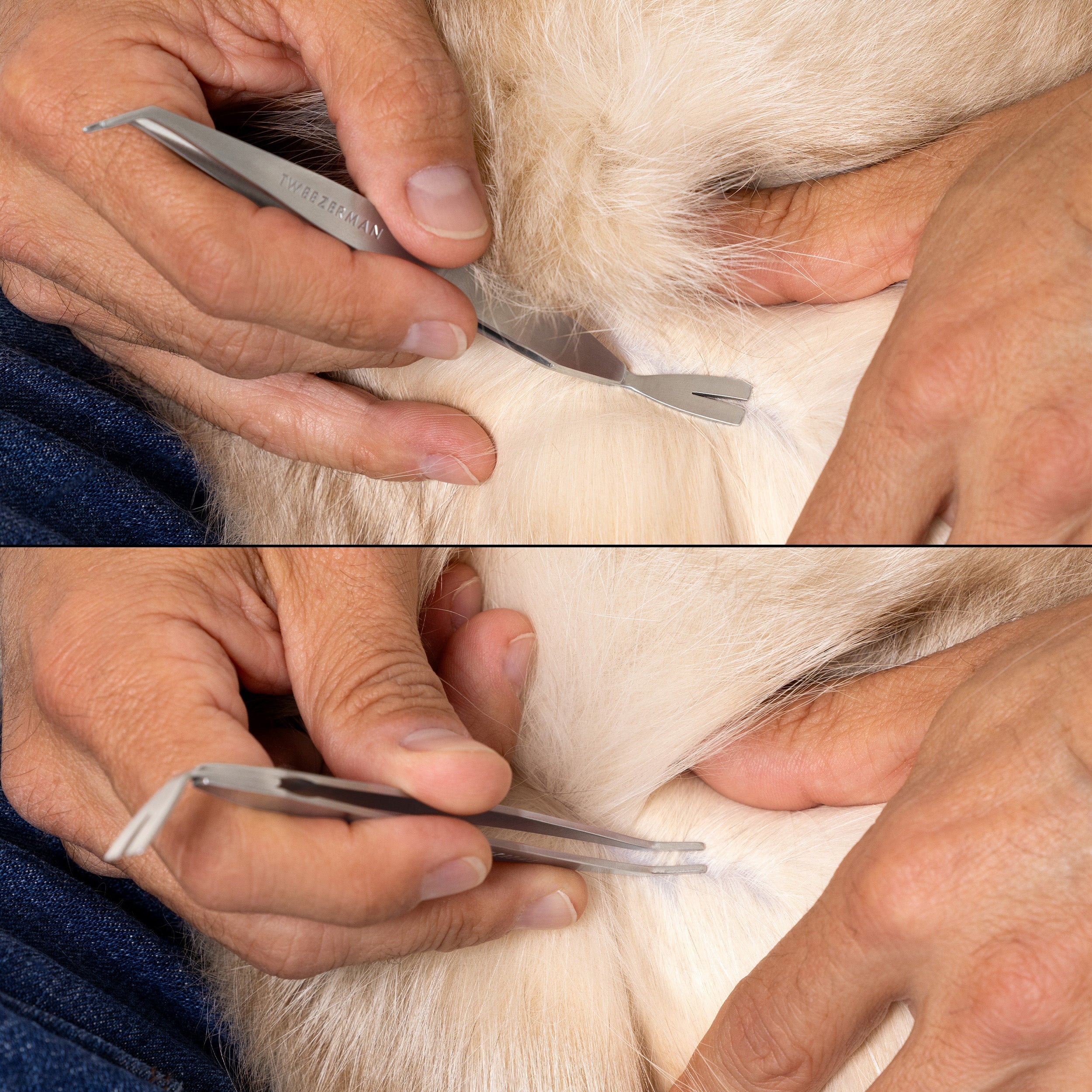 Tick Removal Kit