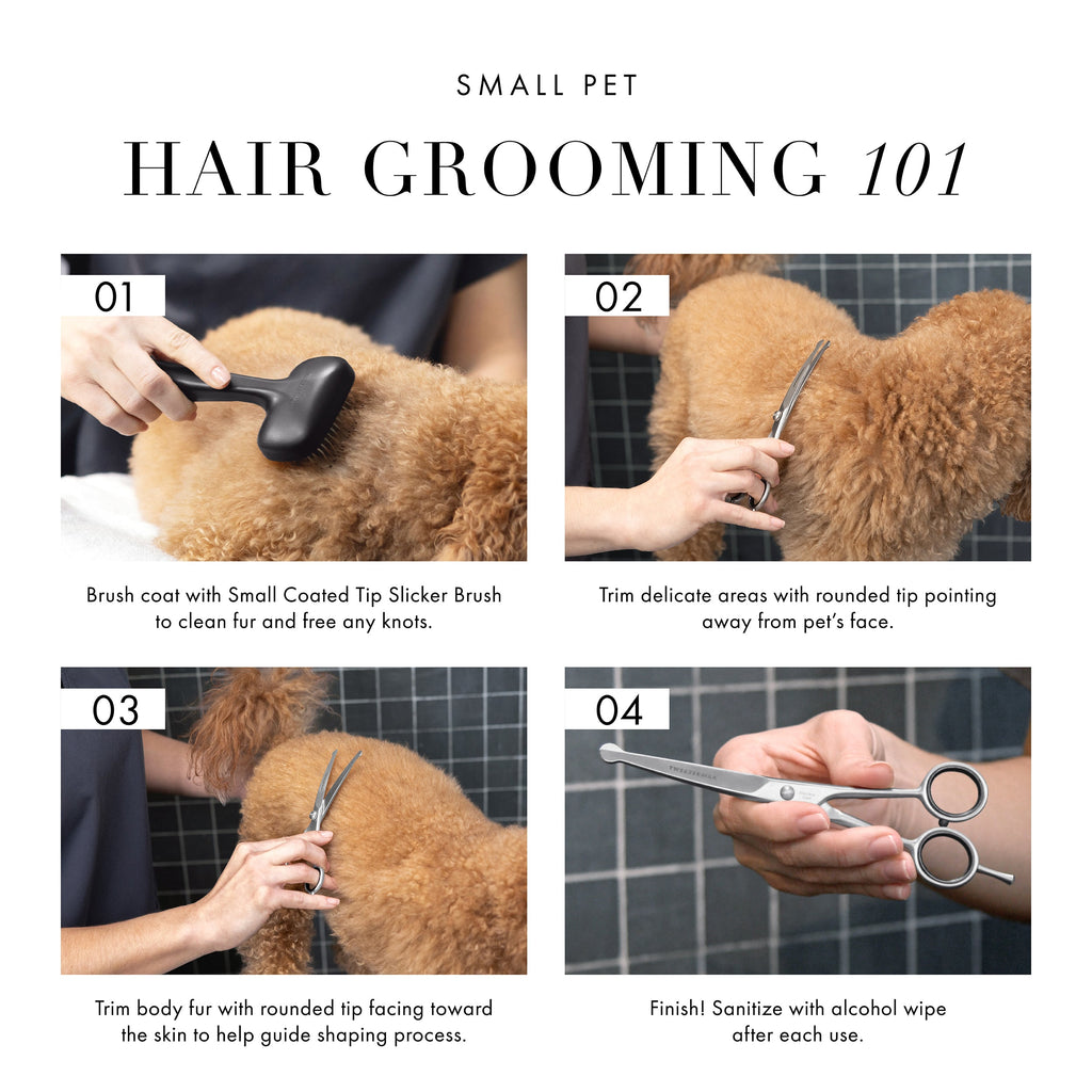 Curved Grooming Shears 7"