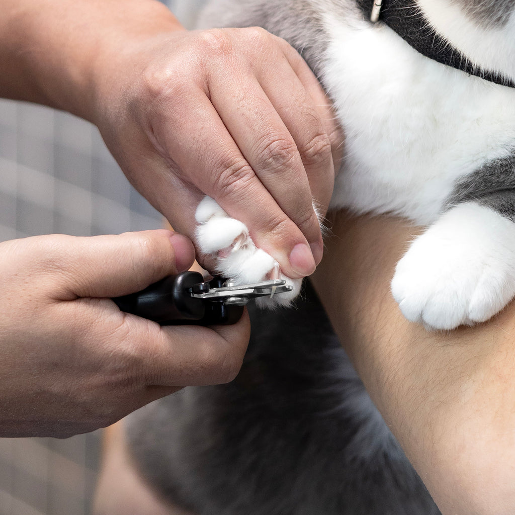 Small Precision Nail Clipper for Pets