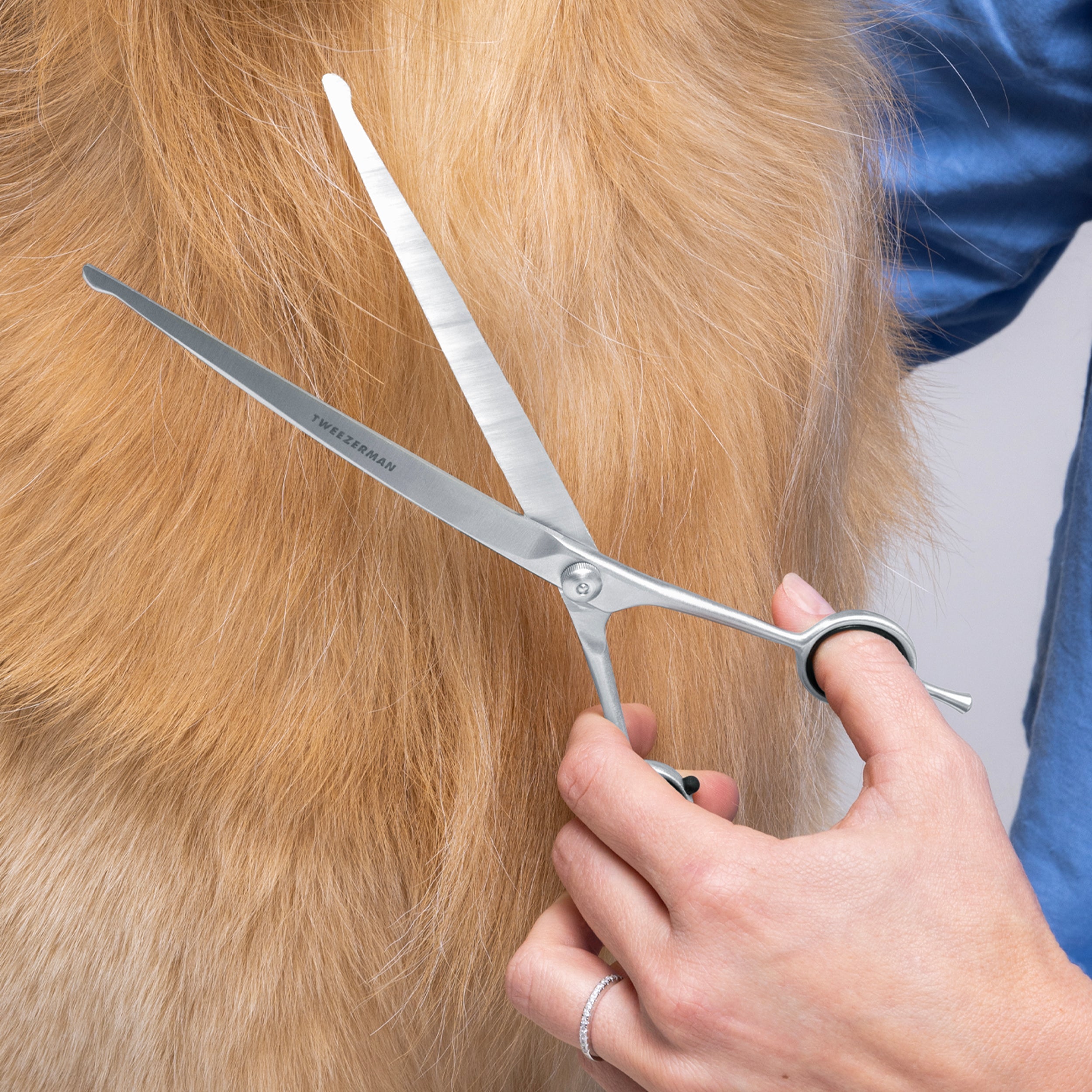 Curved Grooming Shears 9"