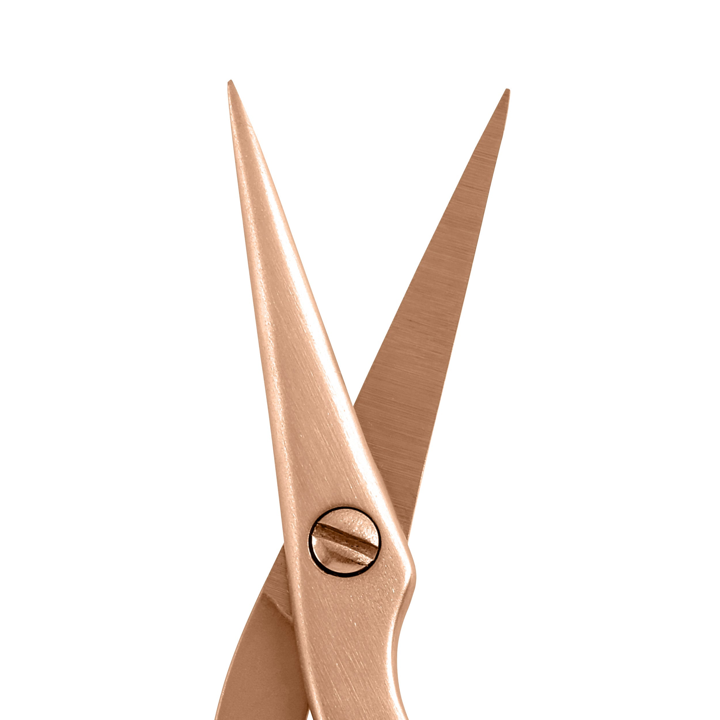Rose Gold Brow Shaping Scissors and Brush