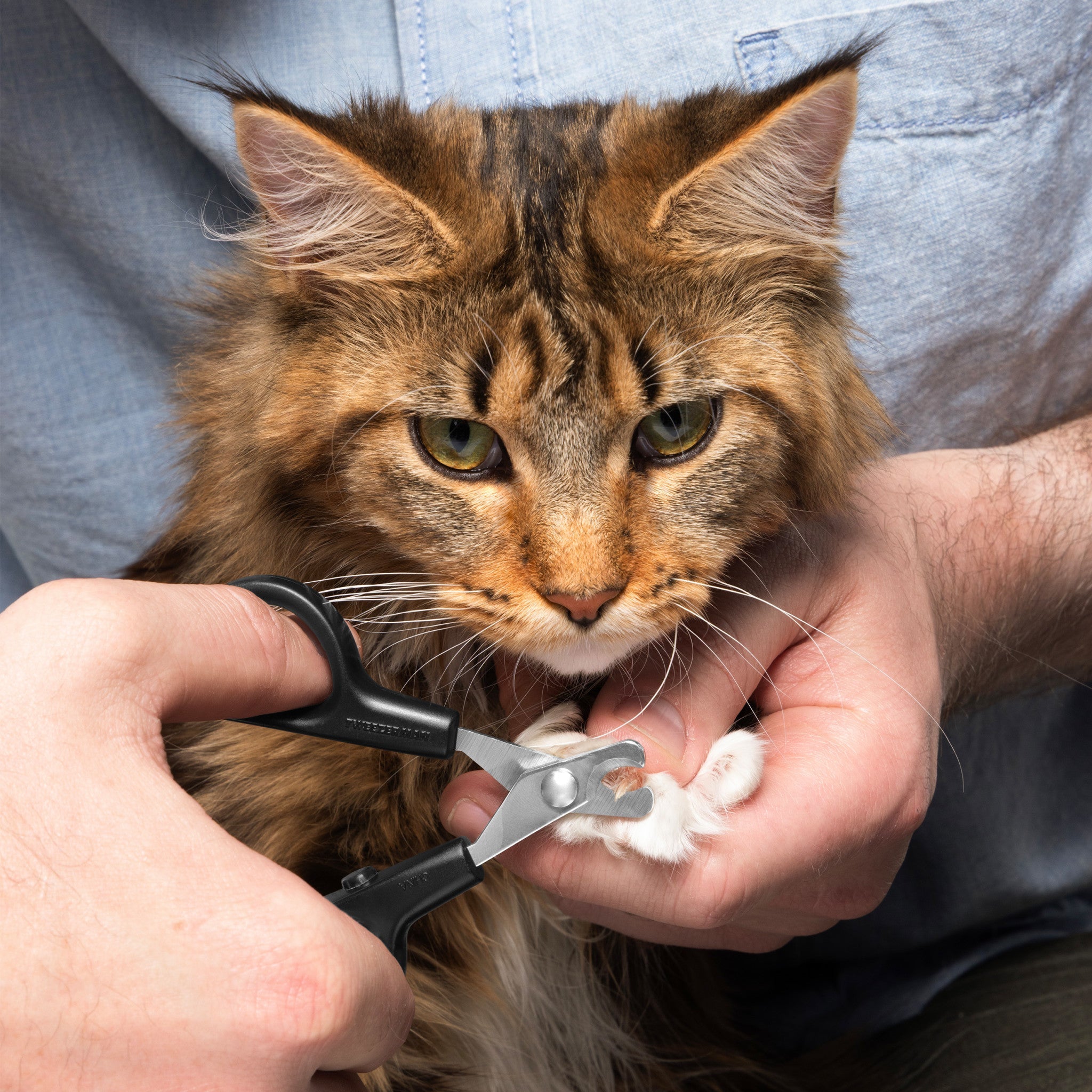 Extra Small Precision Nail Clipper