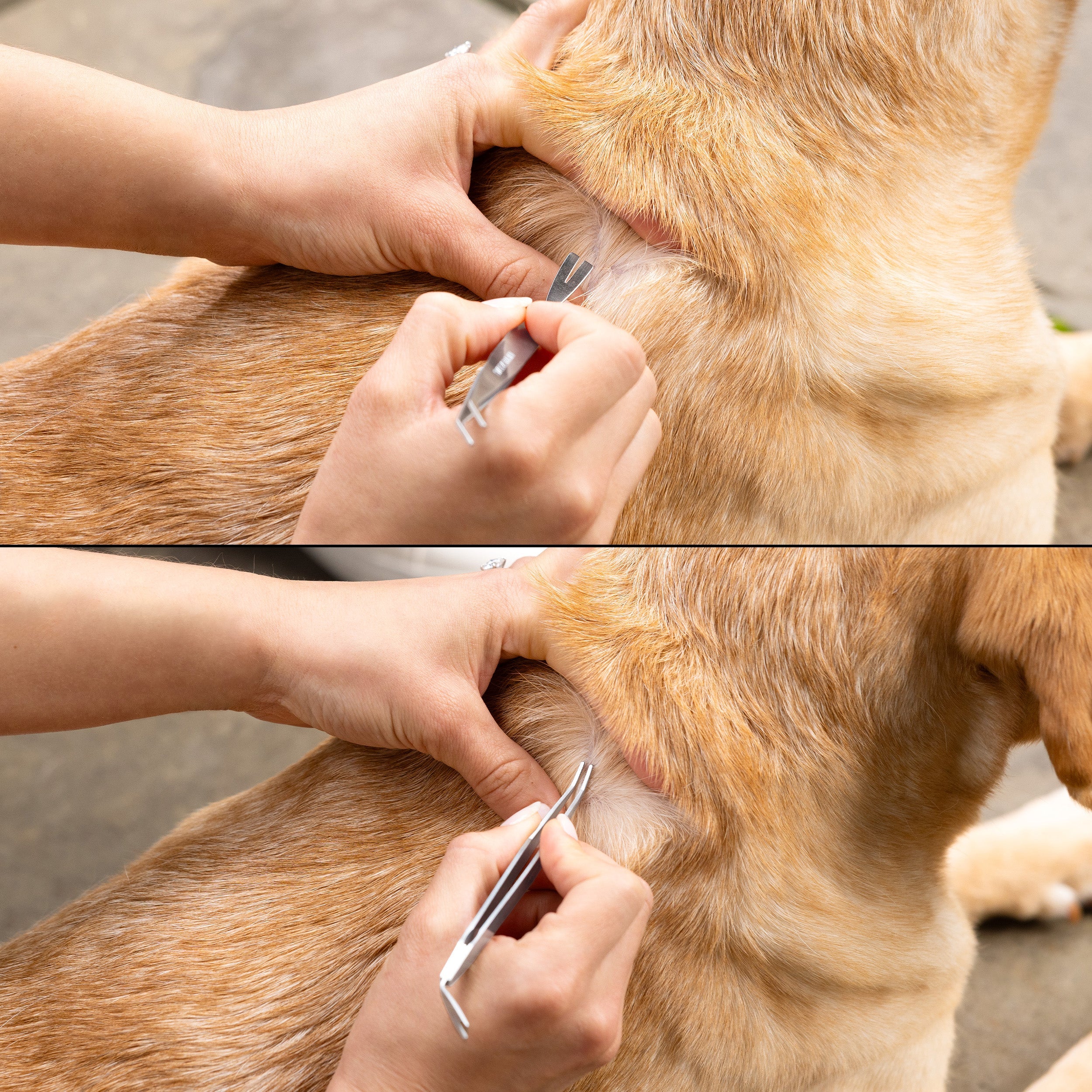 Tick Removal Kit