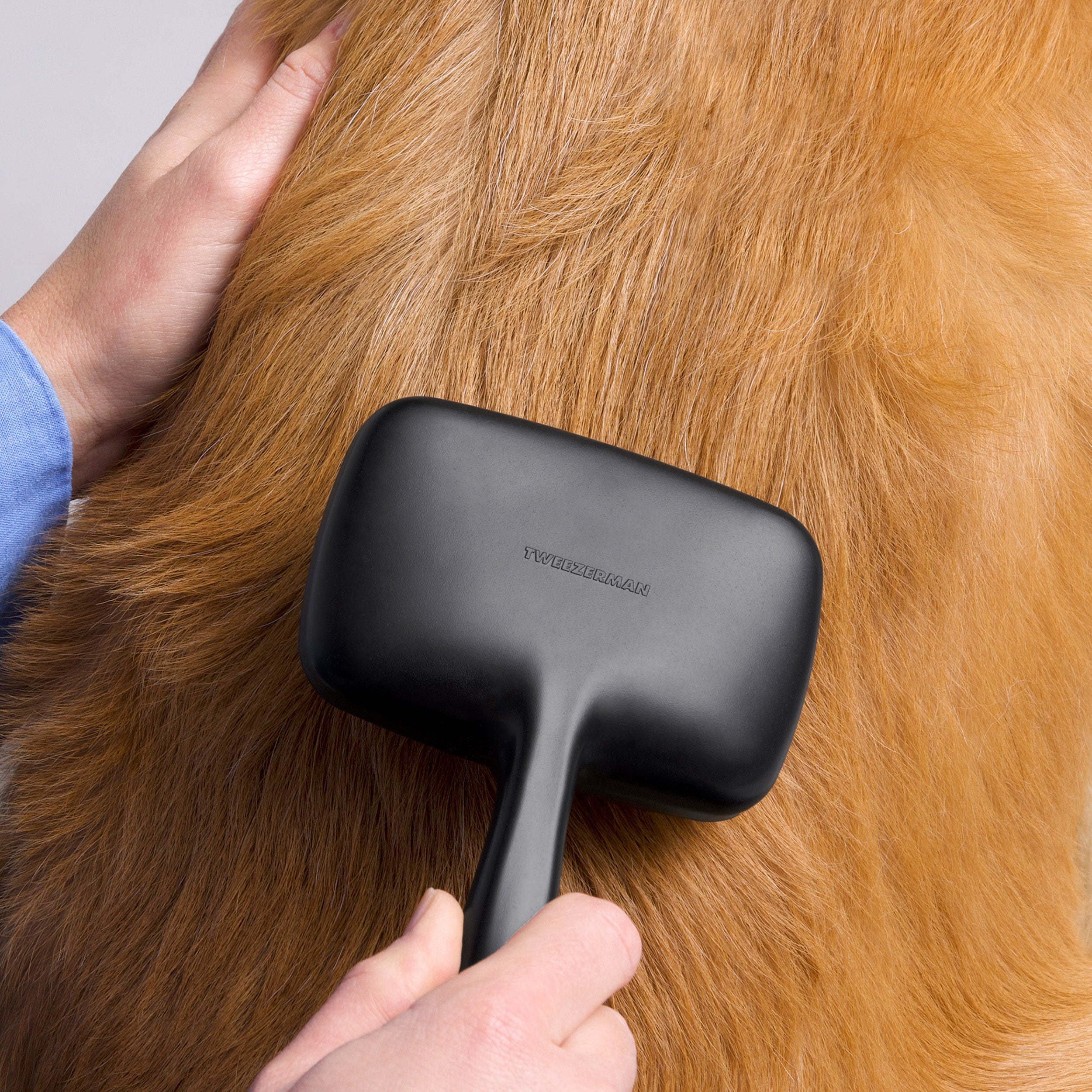 Large Coated Tip Slicker Brush