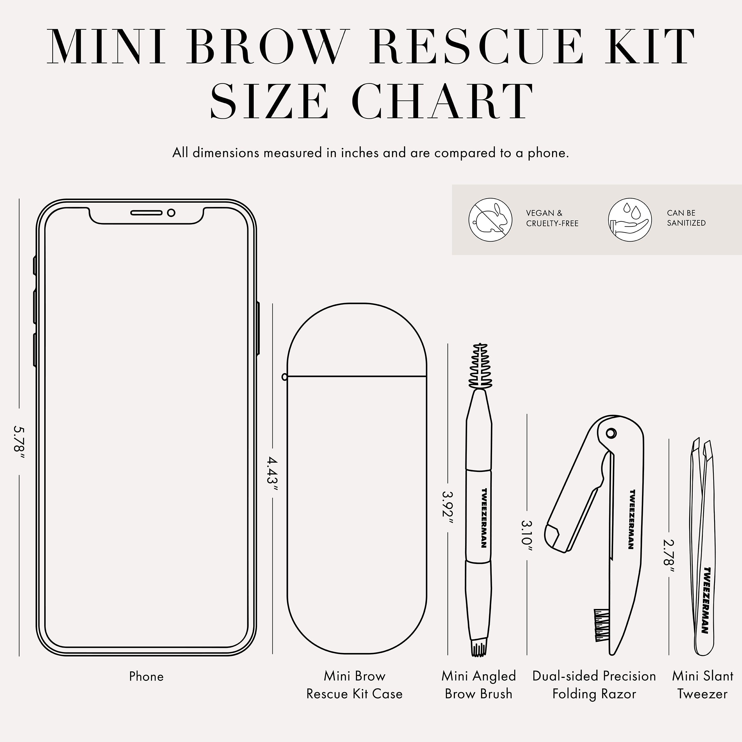 Mini Brow Rescue Kit